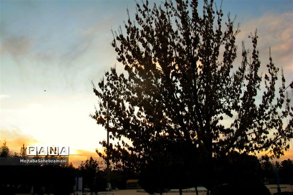 شکوفه‌های بهاری در شهرستان کاشمر