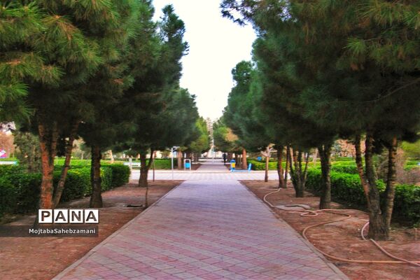 شکوفه‌های بهاری در شهرستان کاشمر
