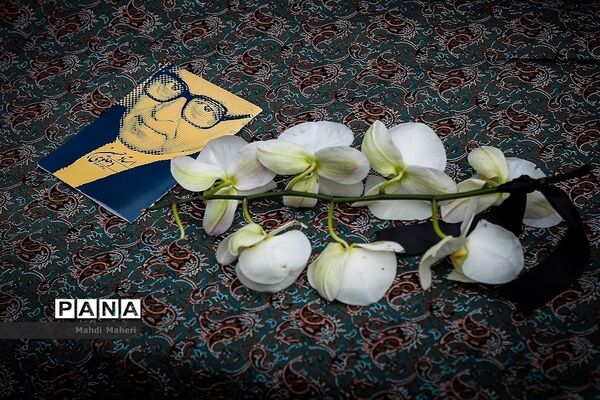عکس های منتخب سال 98