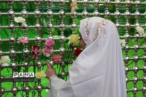 عکس‌های منتخب سال 1398 شهر تهران
