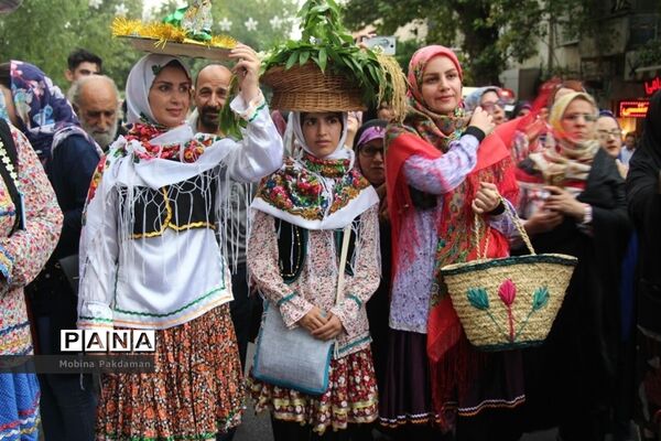 عکس‌های منتخب سال 1398 استان مازندران