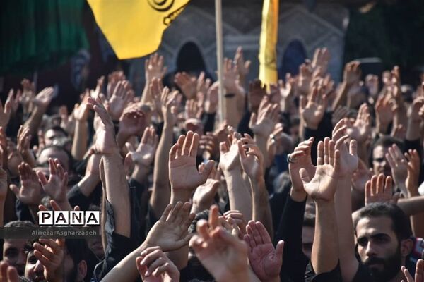 عکس‌های منتخب سال 1398 استان مازندران