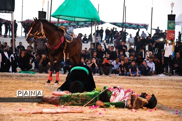 عکس‌های منتخب سال 1398 استان  فارس