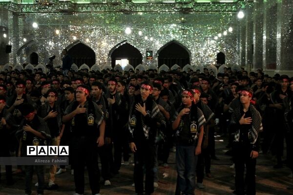 عکس‌های منتخب سال 1398 استان  فارس