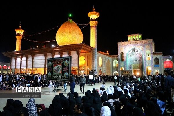 عکس‌های منتخب سال 1398 استان  فارس
