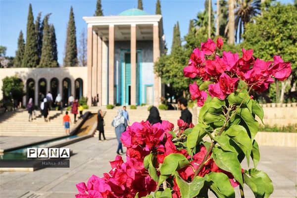 عکس‌های منتخب سال 1398 استان  فارس