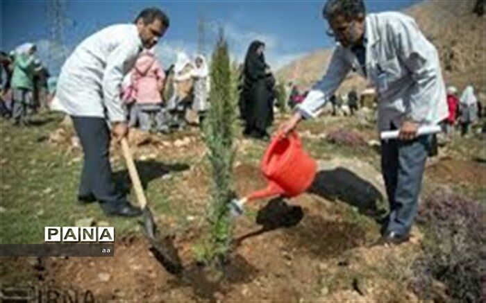 کاشت ۴۰ هزار اصله نهال در پلدختر