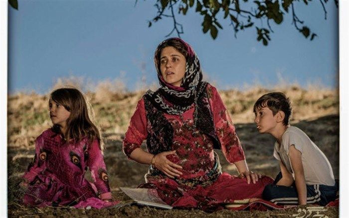 مجوز نمایش برای دو فیلم صادر شد