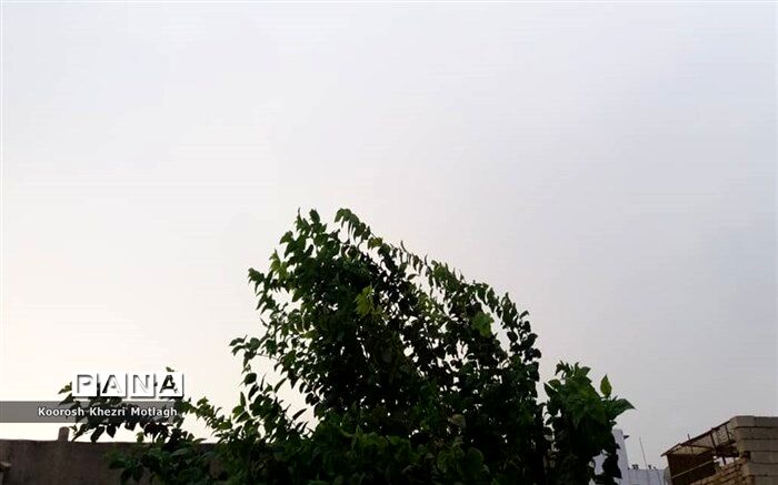 وزش باد و بارش شدید باران از عصر فردا