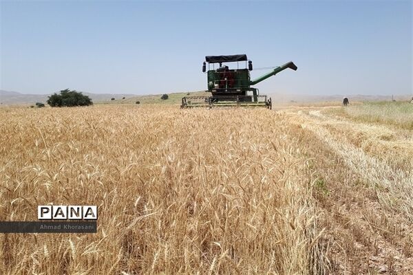 عکس‌های منتخب سال 1398 استان خوزستان