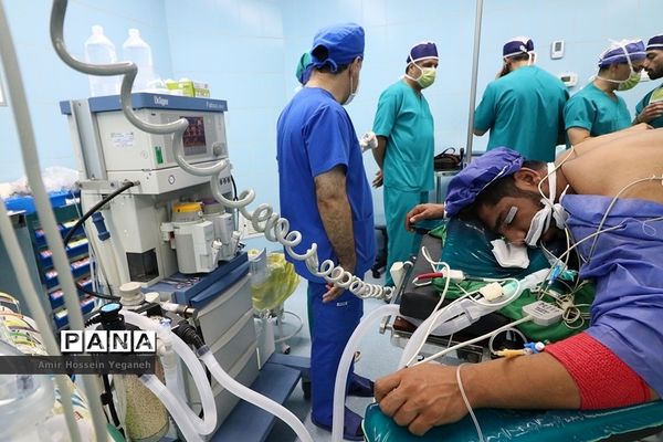 عکس‌های منتخب سال 1398 استان هرمزگان