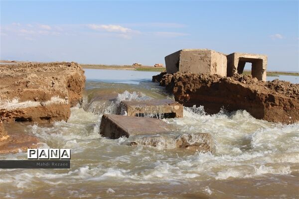عکس‌های منتخب سال 1398 استان البرز
