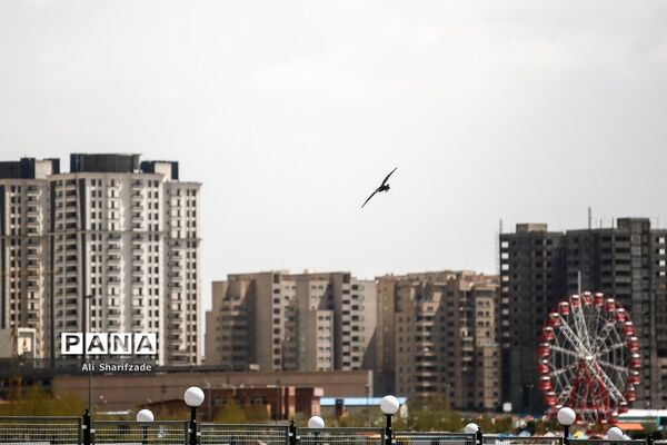 روز طبیعت در دریاچه چیتگر