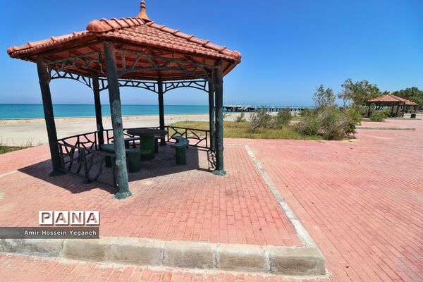 روز طبیعت در کیش