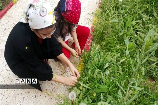 سیزده بدر دانش آموزان شهرستان امیدیه در خانه هایشان