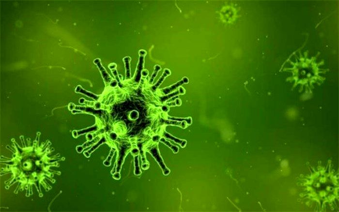 برنده واقعی در برابر کرونا کیست؟