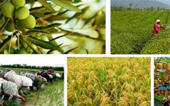 محدودیت‌های تردد فعالیت‌ها و مشاغل بخش کشاورزی برداشته شود