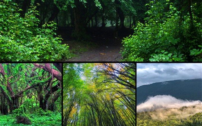 لزوم مشارکت مردم برای صیانت از منابع طبیعی کشور