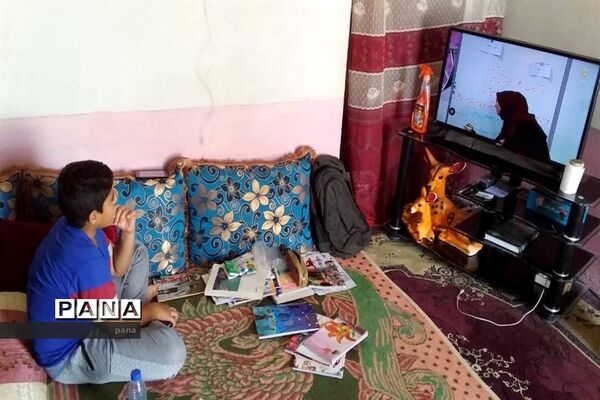 عکس‌های منتخب سال 1398 استان بوشهر