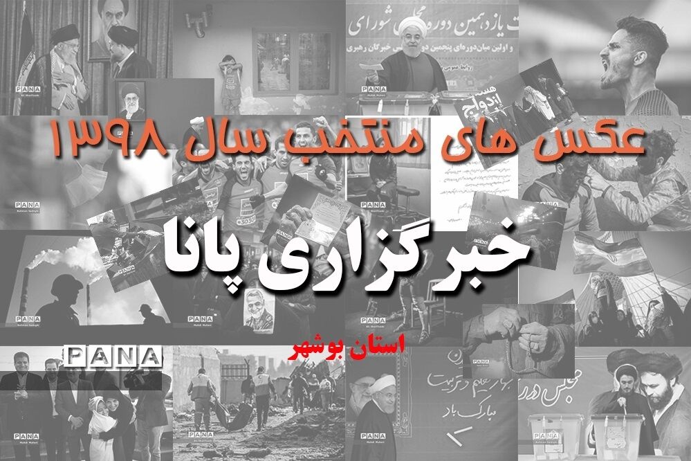 عکس‌های منتخب سال 1398 استان بوشهر