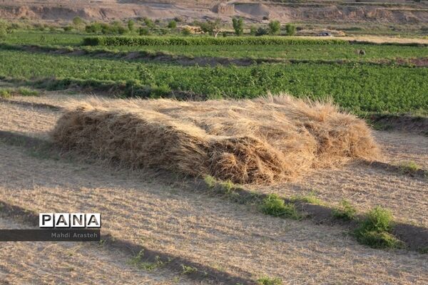 عکس‌های منتخب سال 1398 استان خراسان جنوبی