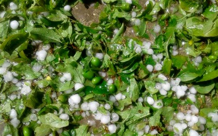 احتمال بارش تگرگ  و وقوع سیلاب