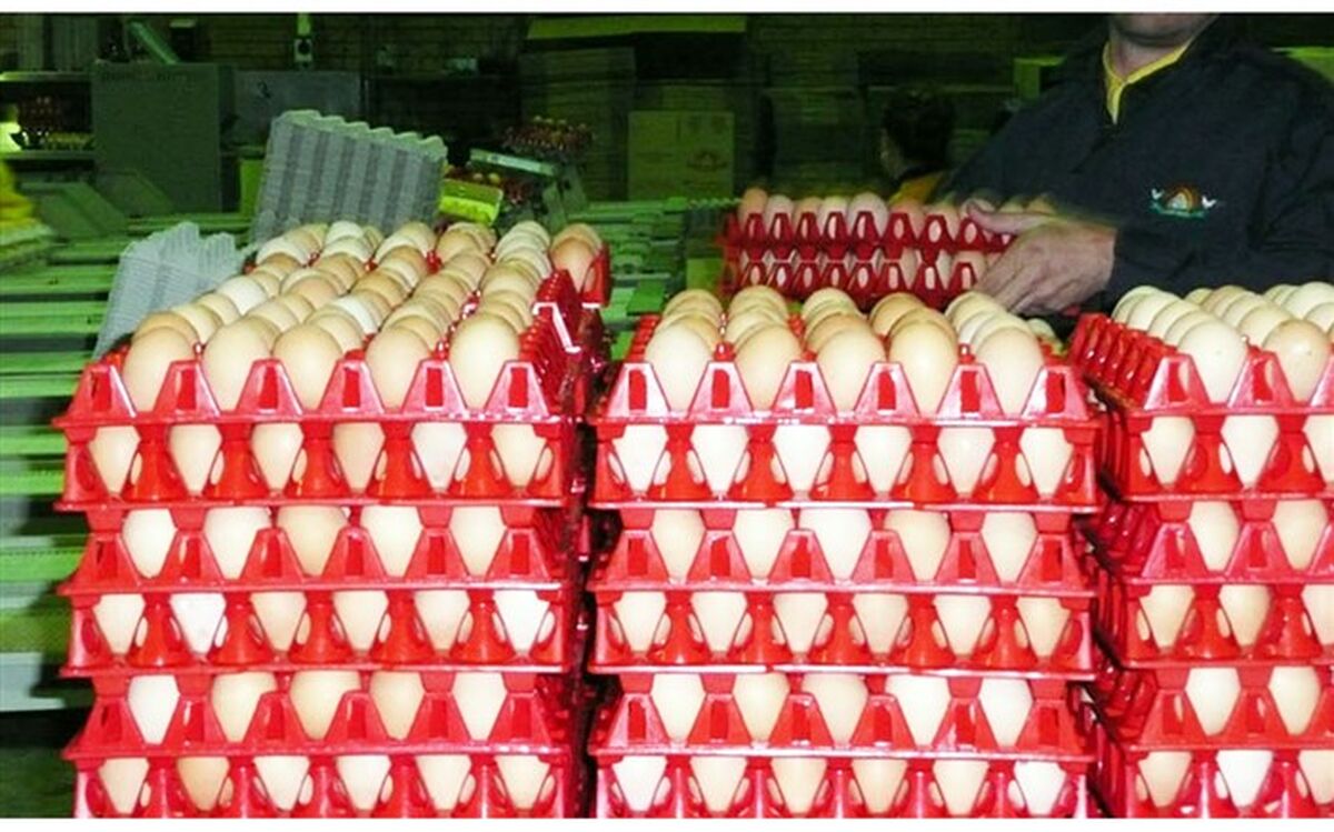 عرضه گسترده تخم‌مرغ در میادین و فروشگاه‌های زنجیره ای