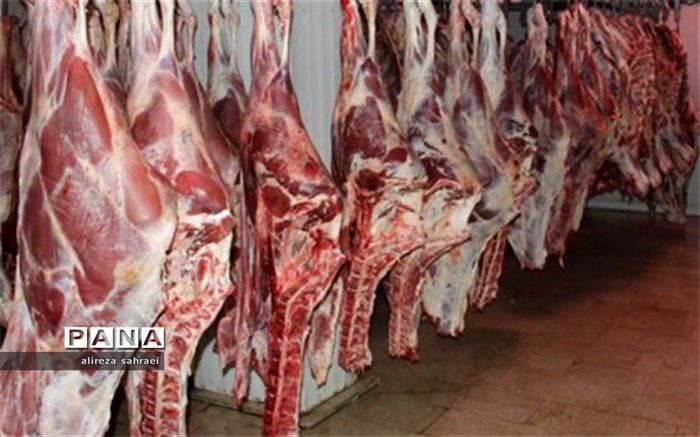 کمبود گوشت در سطح شهر وجود ندارد