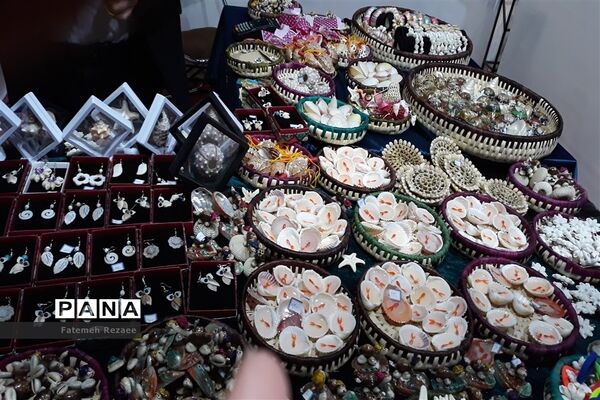 عکس‌های منتخب سال 1398 استان زنجان