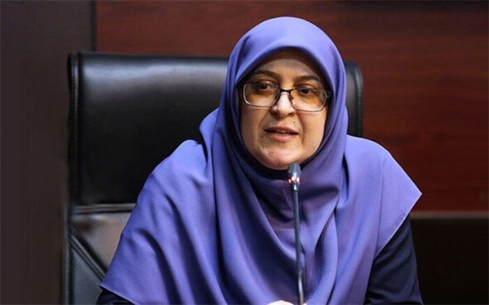 مهاجرانی: آموزش در بستر مجازی، سنگ بنای توسعه عدالت آموزشی است