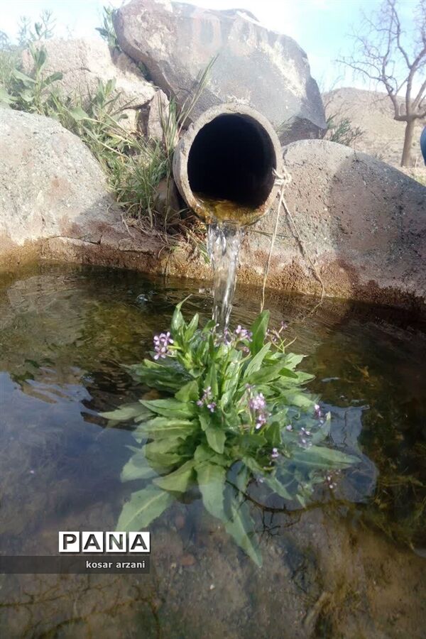 طبیعت بهاری روستا تقوک