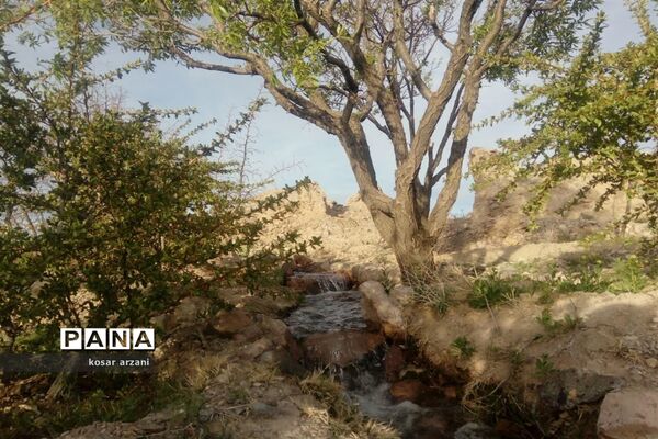 طبیعت بهاری روستا تقوک