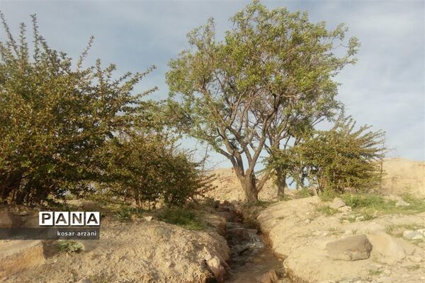طبیعت بهاری روستا تقوک