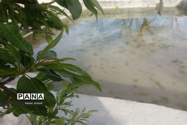 طبیعت بهاری روستا تقوک
