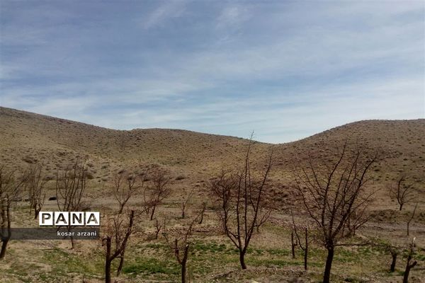 طبیعت بهاری روستا تقوک