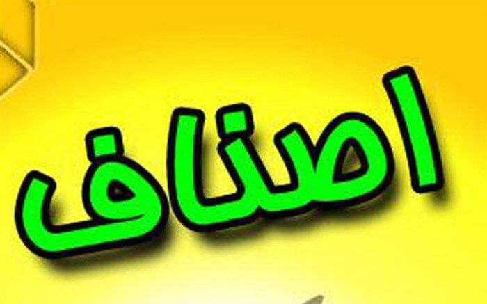 اصناف خُرد با رعایت اصول بهداشتی اجازه فعالیت داشته باشند