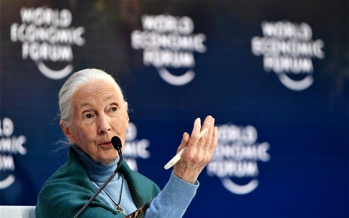 ظلم به طبیعت و حیوانات باعث شیوع کرونا شد