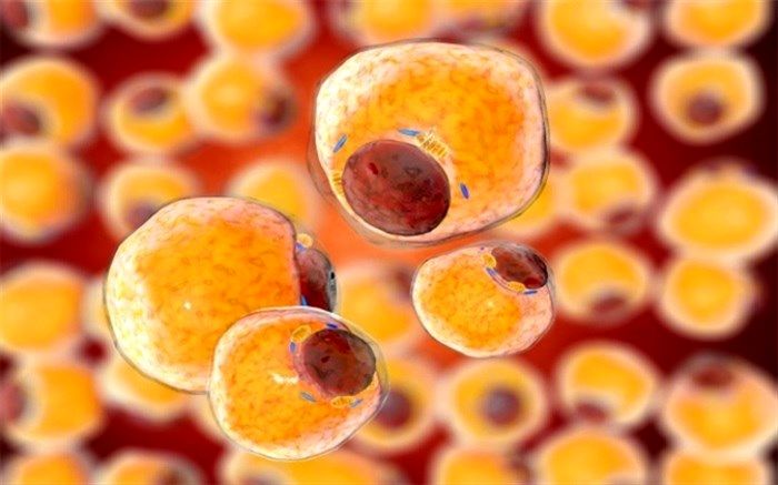 چربی‌های بدن پس از کاهش وزن!