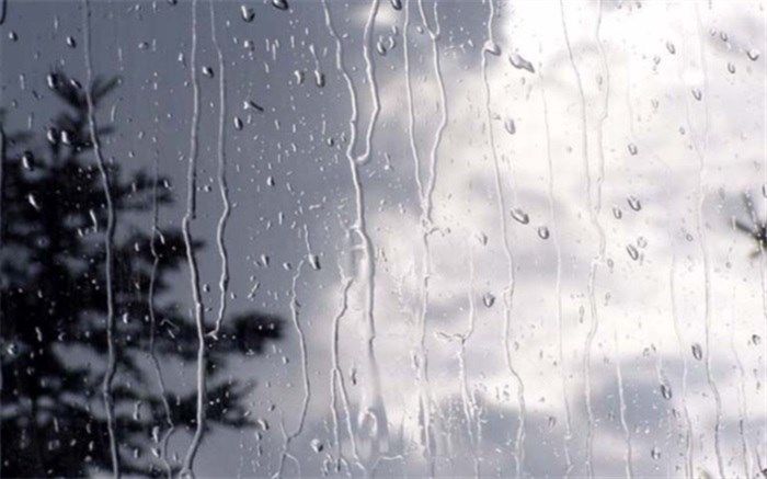 سامانه پرقدرت بارشی وارد بوشهر می‌شود