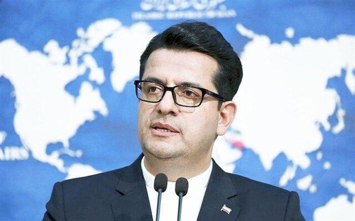 عباس موسوی: وزارت خارجه هیچ دخالتی در اِعمال پروتکل‌های بهداشتی ندارد