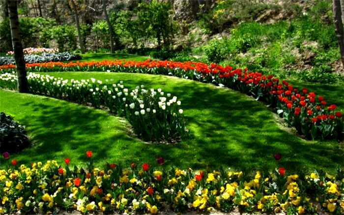 بیش از ۱۵۰ هزار نفر از باغ گل‌های کرج بازدید کرده‌اند