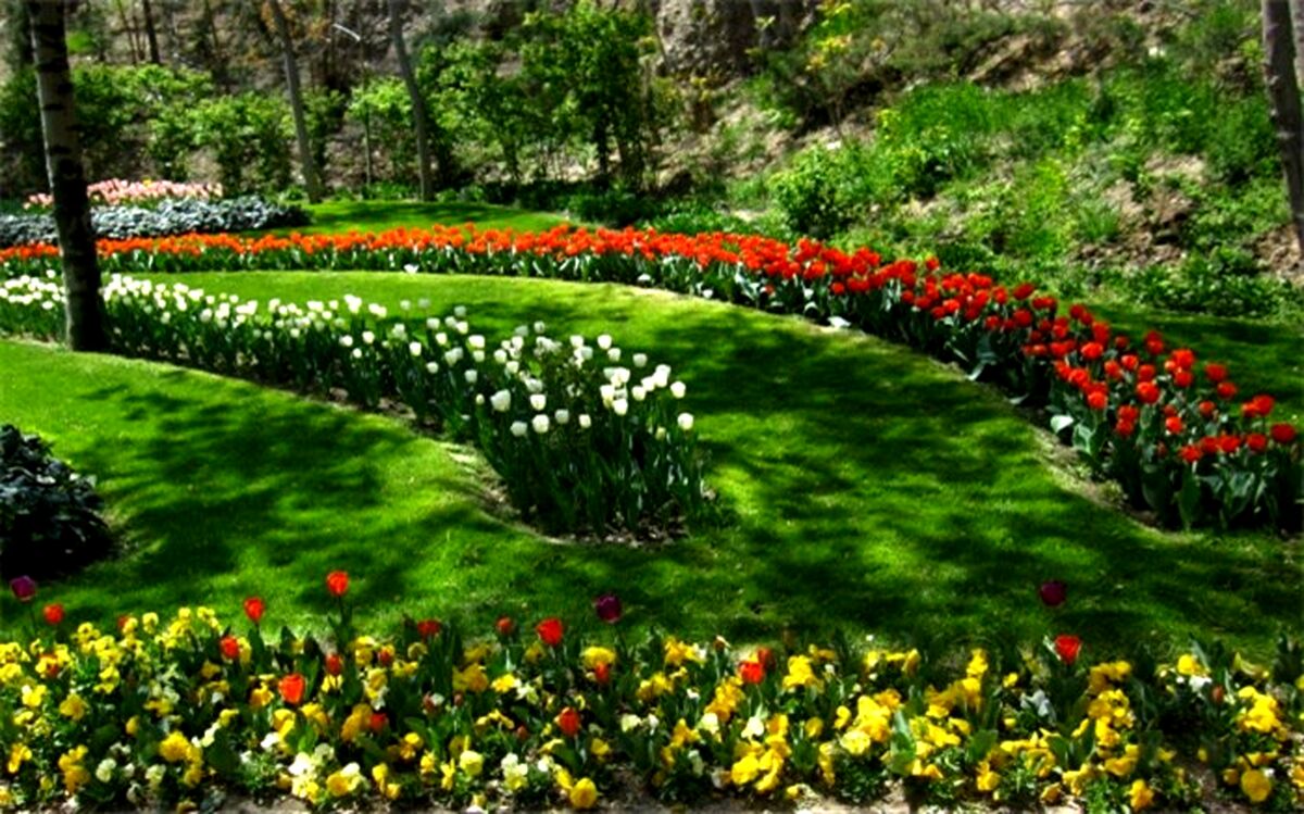 بیش از ۱۵۰ هزار نفر از باغ گل‌های کرج بازدید کرده‌اند