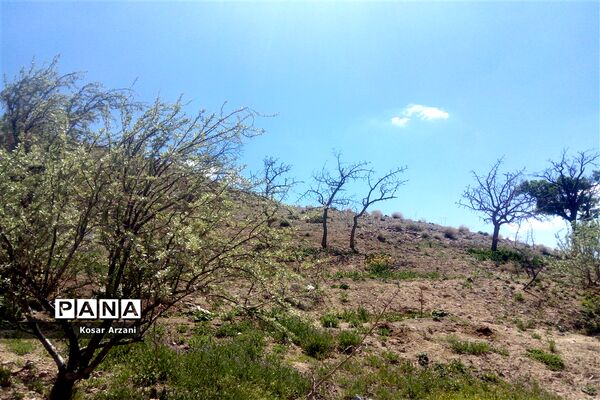 طبیعت زیبای روستا سنجدوک