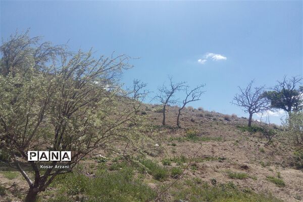 طبیعت زیبای روستا سنجدوک