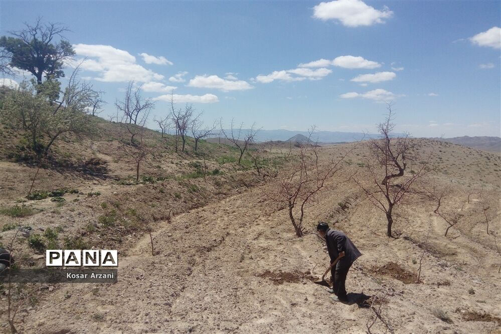 طبیعت زیبای روستا سنجدوک