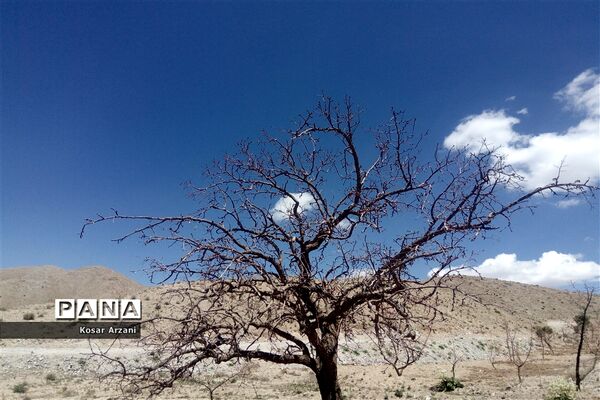 طبیعت زیبای روستا سنجدوک