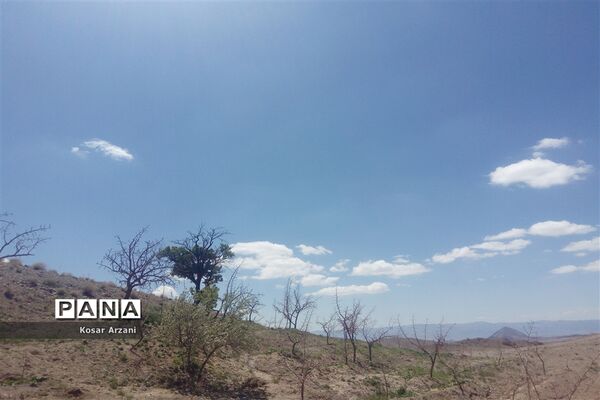 طبیعت زیبای روستا سنجدوک