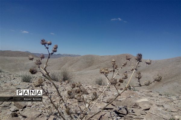 طبیعت زیبای روستا سنجدوک