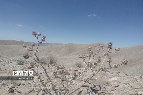 طبیعت زیبای روستا سنجدوک