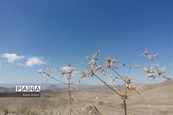 طبیعت زیبای روستا سنجدوک